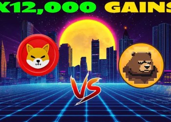 BeerBear vs Shiba Inu